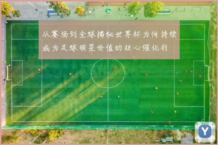 从赛场到全球揭秘世界杯为何持续成为足球明星价值的核心催化剂