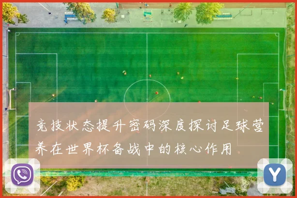 竞技状态提升密码深度探讨足球营养在世界杯备战中的核心作用